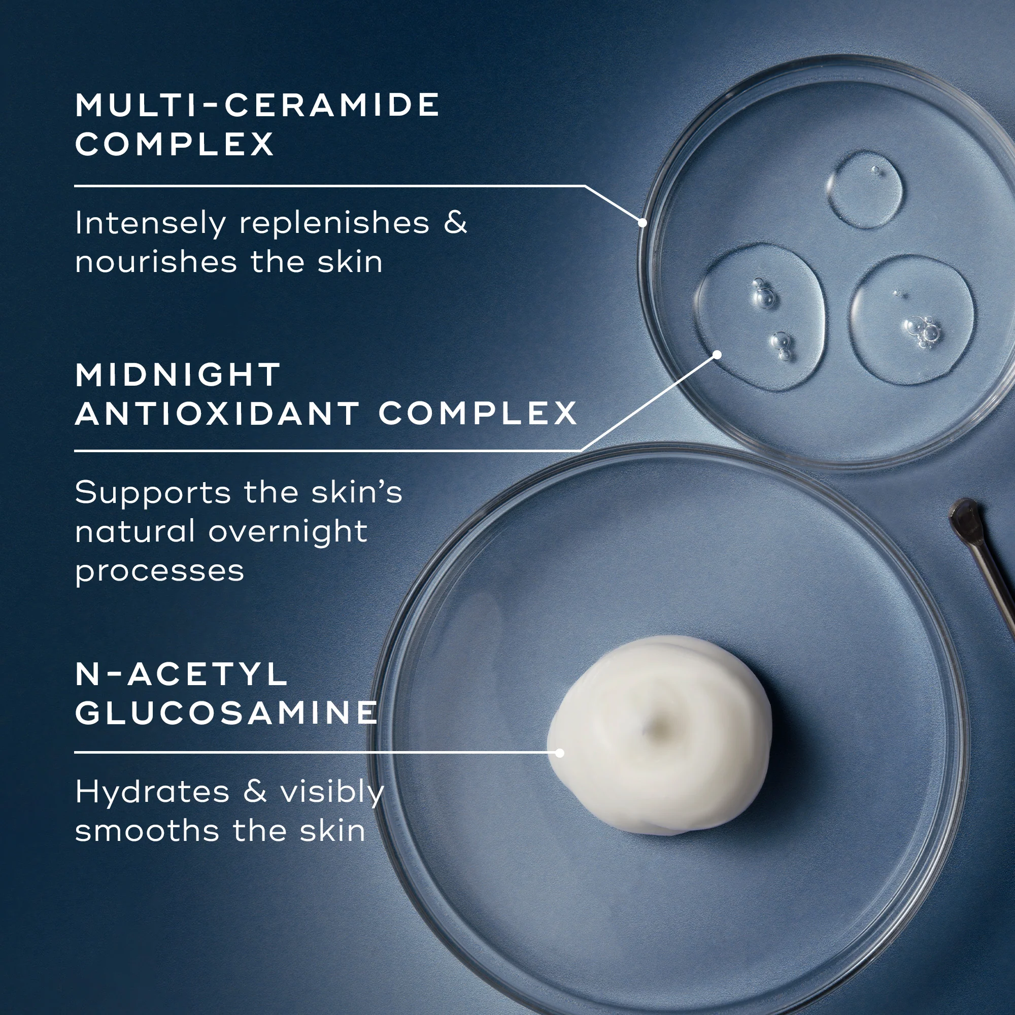 Advanced Night Ceramide - Image 4