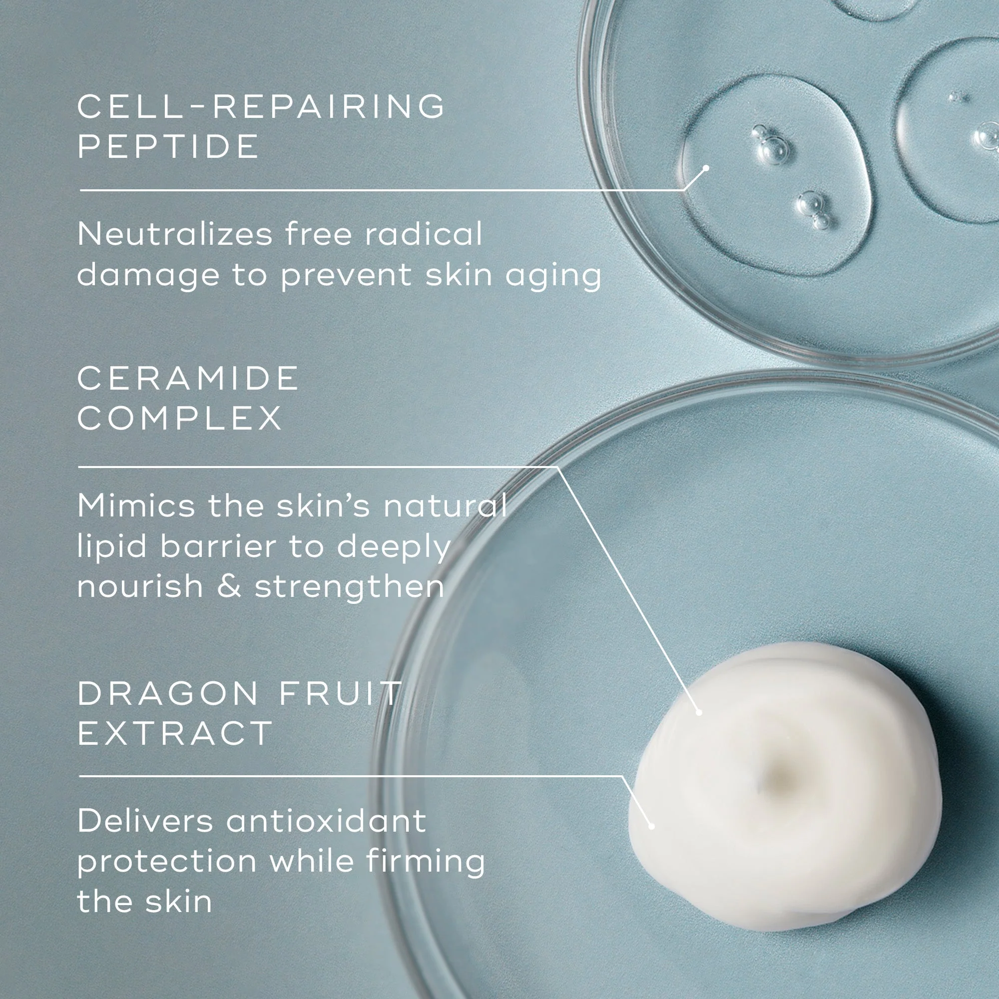 Advanced Night Ceramide (Travel Size) - Image 5