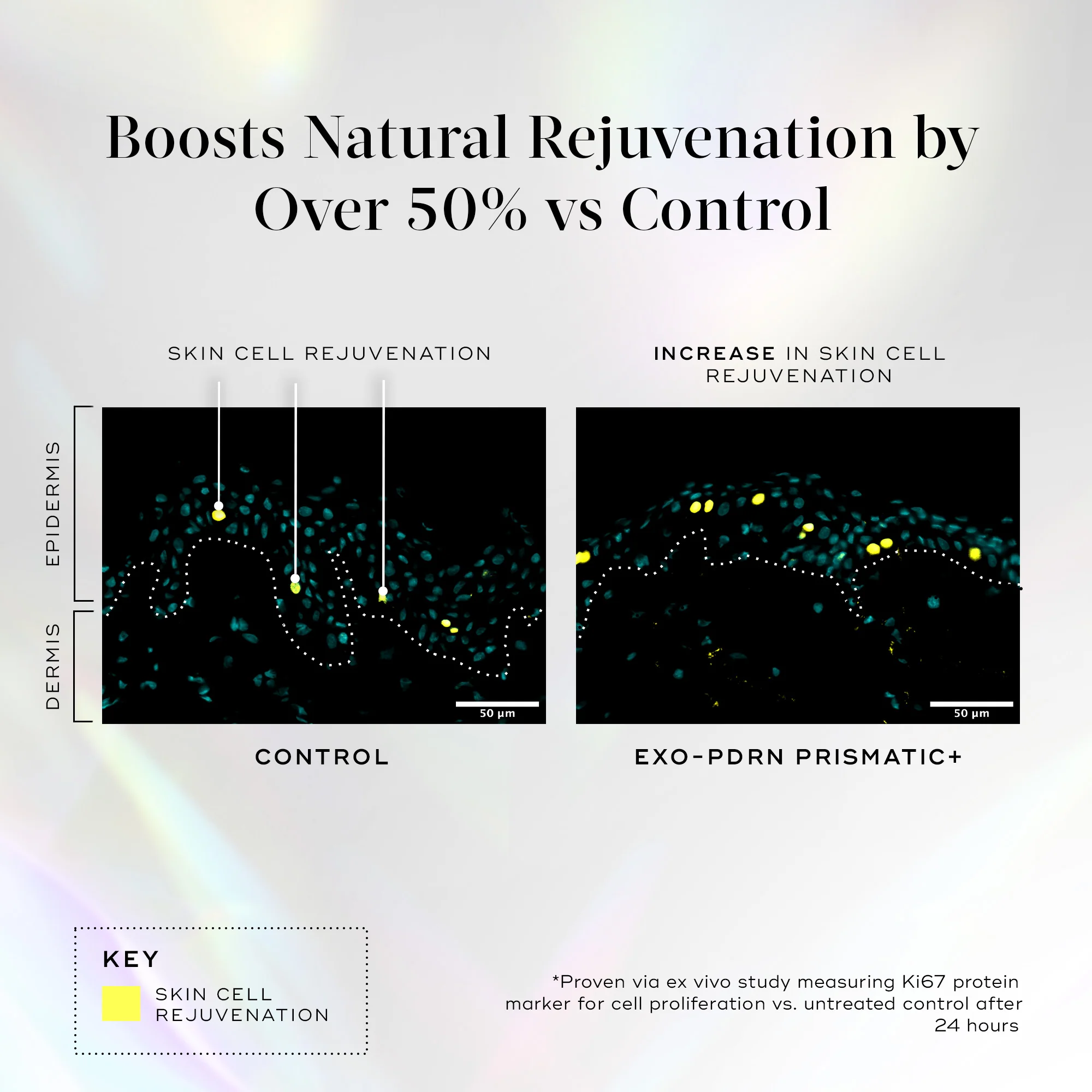 Exo-PDRN Primastic+ - Image 6